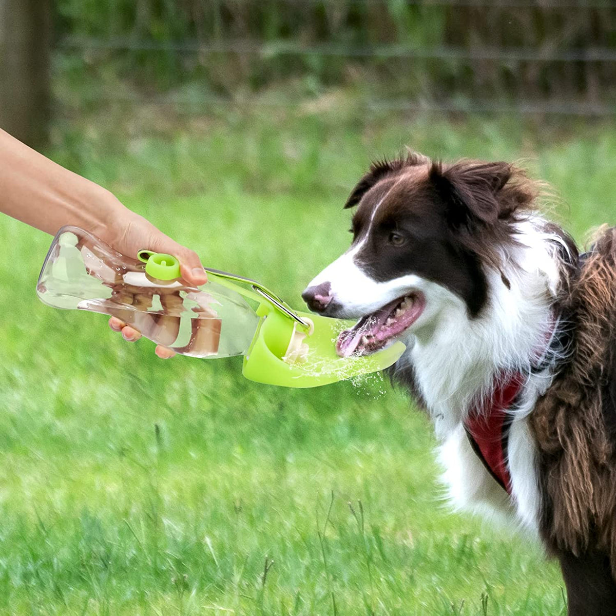 Portable Pet Water Dispenser Feeder Leak Proof - [[Product type]] | Buffy's