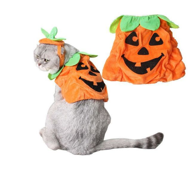 Halloween Pet Cats Costume Props Creative Pumpkin - [[Product type]] | Buffy's