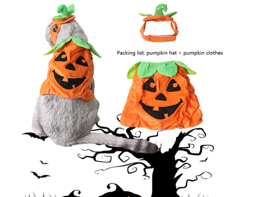 Halloween Pet Cats Costume Props Creative Pumpkin - [[Product type]] | Buffy's