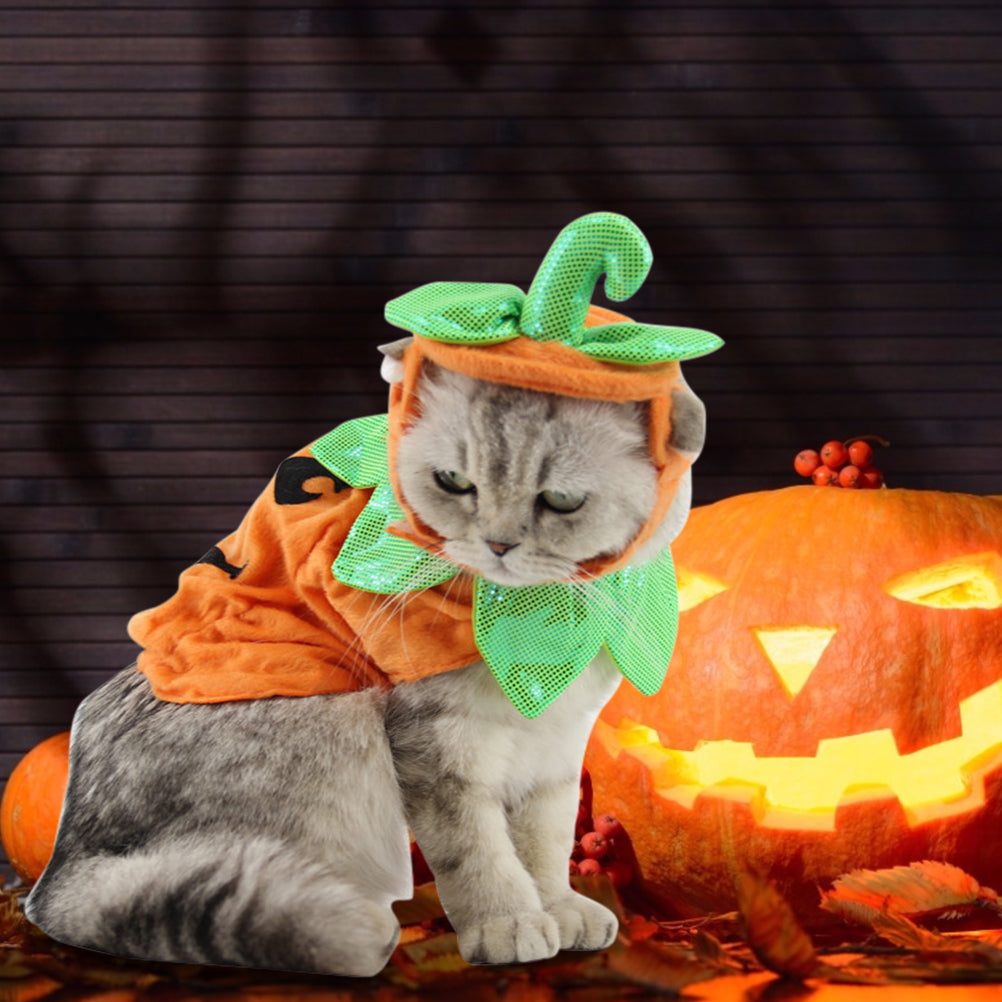 Halloween Pet Cats Costume Props Creative Pumpkin - [[Product type]] | Buffy's