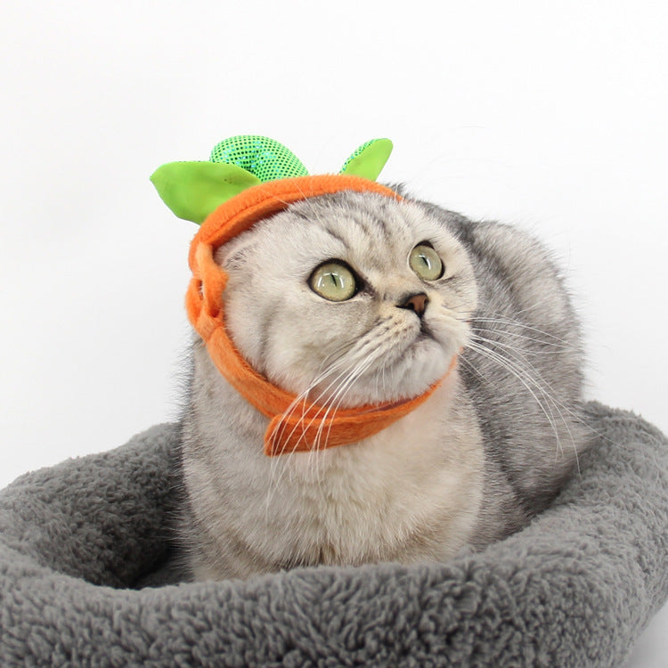 Halloween Pet Cats Costume Props Creative Pumpkin - [[Product type]] | Buffy's