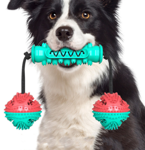Dog Chew Toys Pet Toothbrush Rubber Bones Teeth Cleaning - [[Product type]] | Buffy's