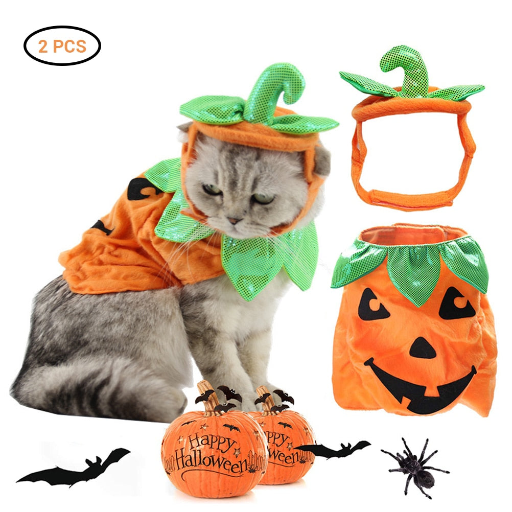 Halloween Pet Cats Costume Props Creative Pumpkin - [[Product type]] | Buffy's