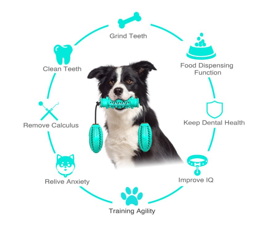 Dog Chew Toys Pet Toothbrush Rubber Bones Teeth Cleaning - [[Product type]] | Buffy's