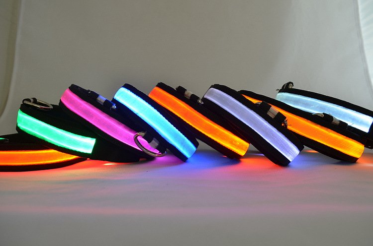 LED Light Up Dog Collar - [[Product type]] | Buffy's