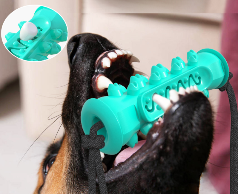 Dog Chew Toys Pet Toothbrush Rubber Bones Teeth Cleaning - [[Product type]] | Buffy's
