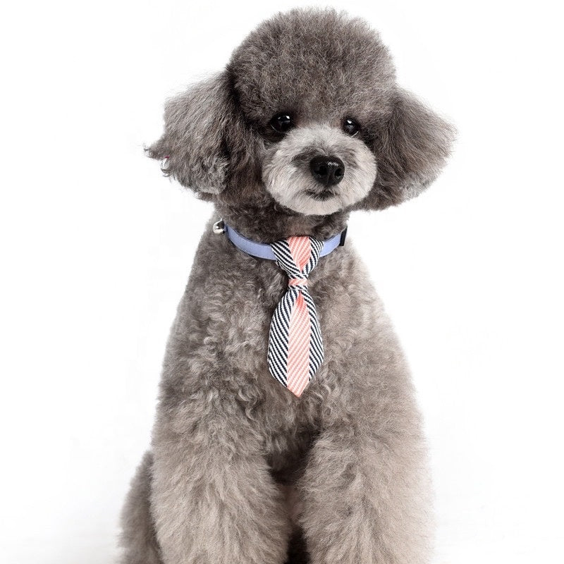 Pet Dog Collar with Tie Cat Bowtie Cute Design Adjustable
