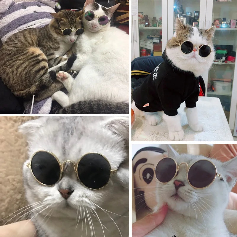 Pet Cat Sunglasses Funny Headdress Cat Grooming Accessories