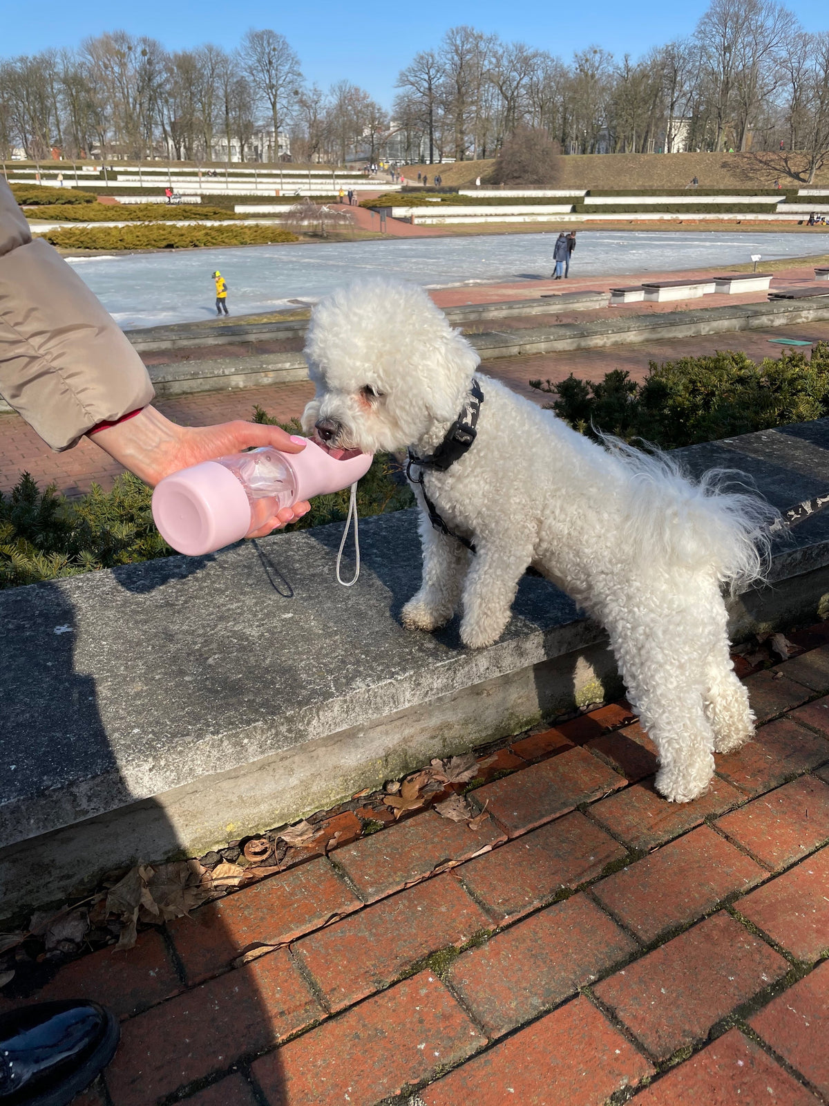 Portable Pet Food & Water Bottle - [[Product type]] | Buffy's