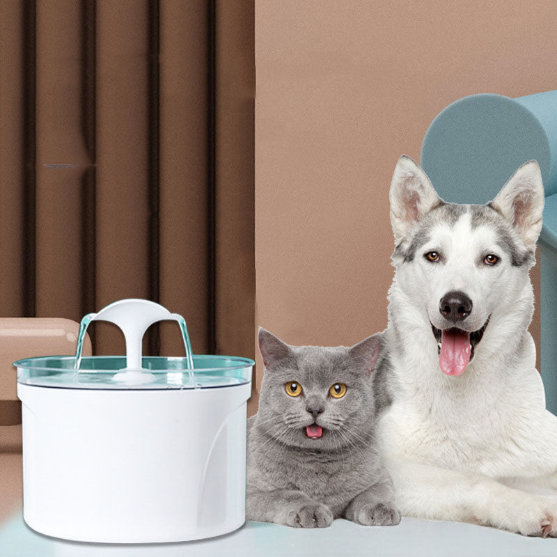 Pet Dog Cat Water Fountain Electric Automatic Water Feeder - [[Product type]] | Buffy's