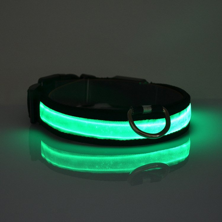 LED Light Up Dog Collar - [[Product type]] | Buffy's