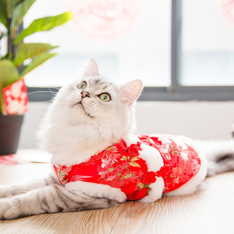 New Year Festive Cat Tang Suit Pet Winter Clothes