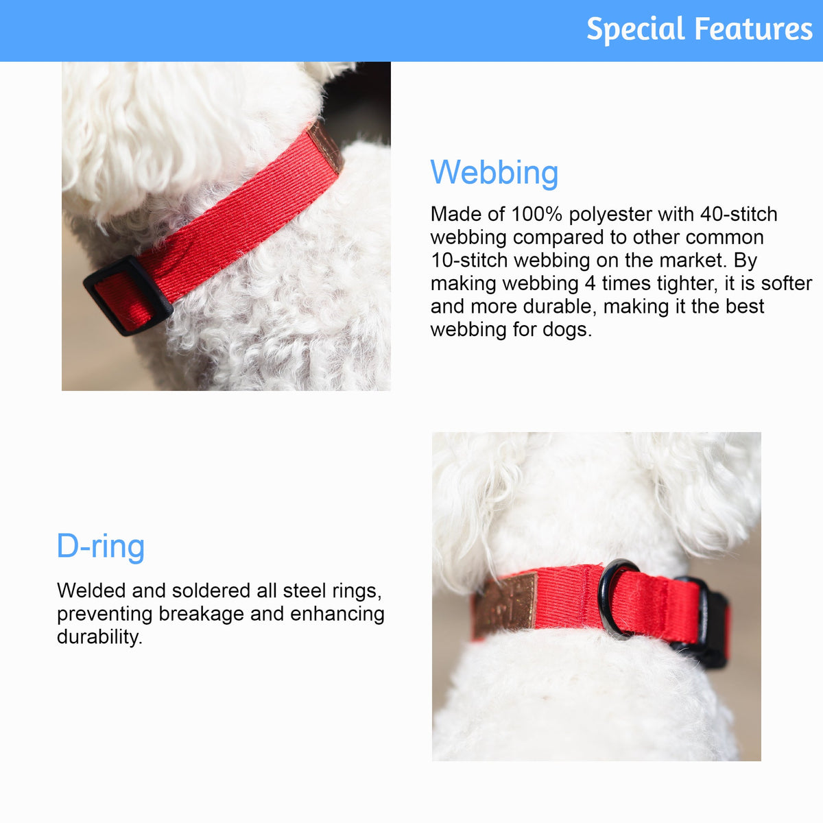 Lof Collar - [[Product type]] | Buffy's