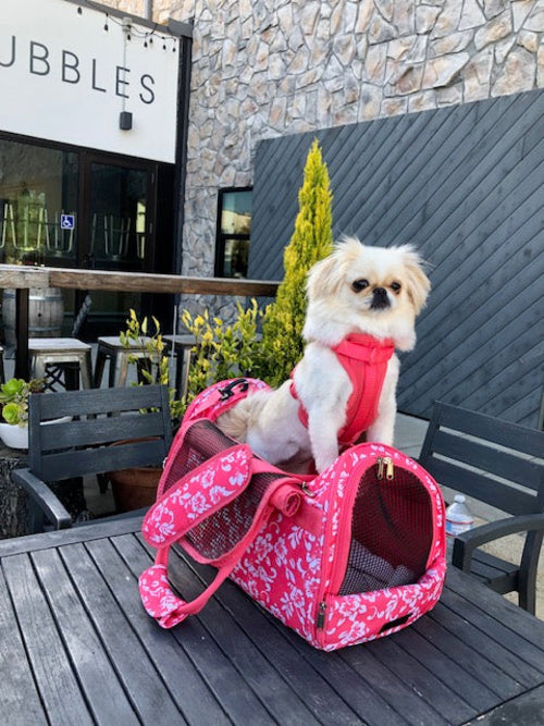 312 Hideaway™ Duffel - Pet Carrier - [[Product type]] | Buffy's