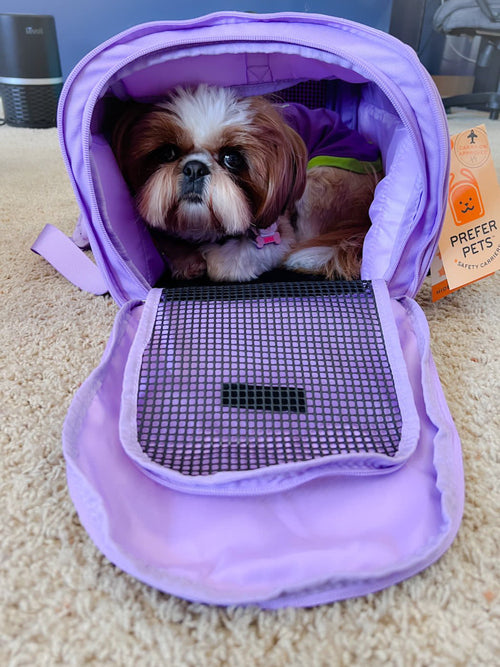 312 Hideaway™ Duffel - Pet Carrier - [[Product type]] | Buffy's