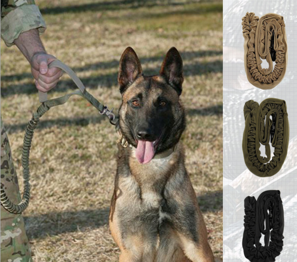 Pet Dog Leash With Highly Reflective Threads - [[Product type]] | Buffy's