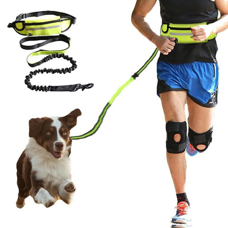 Hands Free Dog Leash Pet Walking And Training Belt With Shock - [[Product type]] | Buffy's