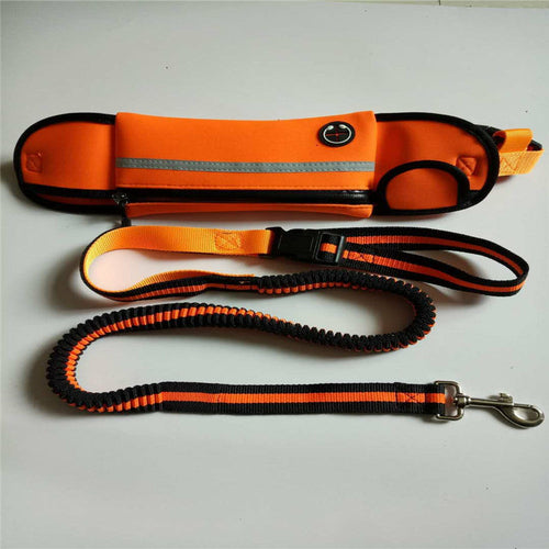 Pet Waist Bag Sports Traction Rope Reflective Waterproof - [[Product type]] | Buffy's