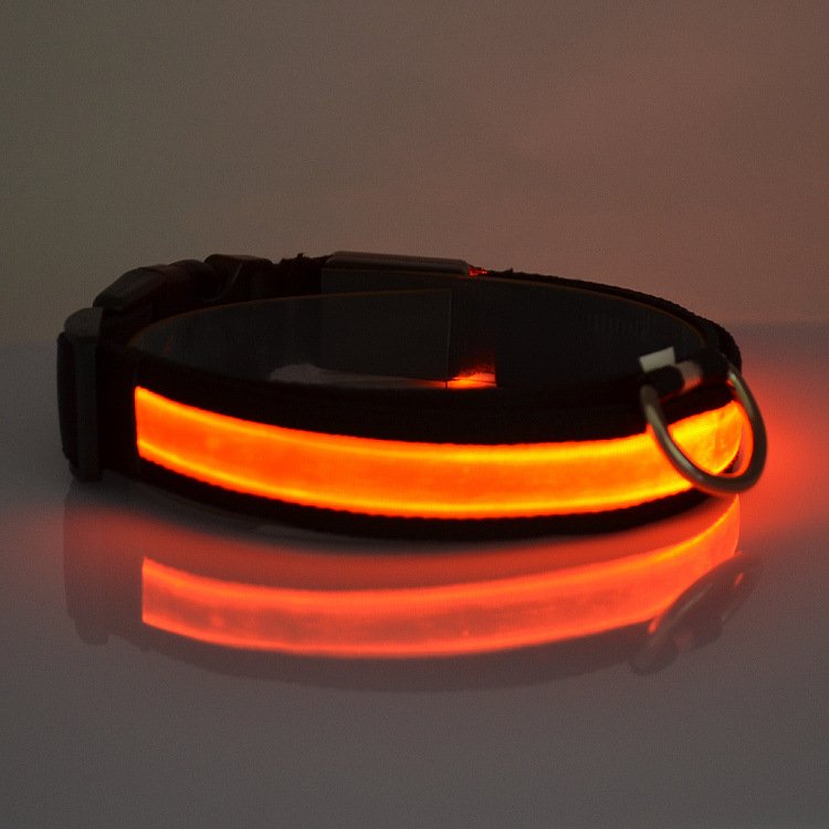 LED Light Up Dog Collar - [[Product type]] | Buffy's