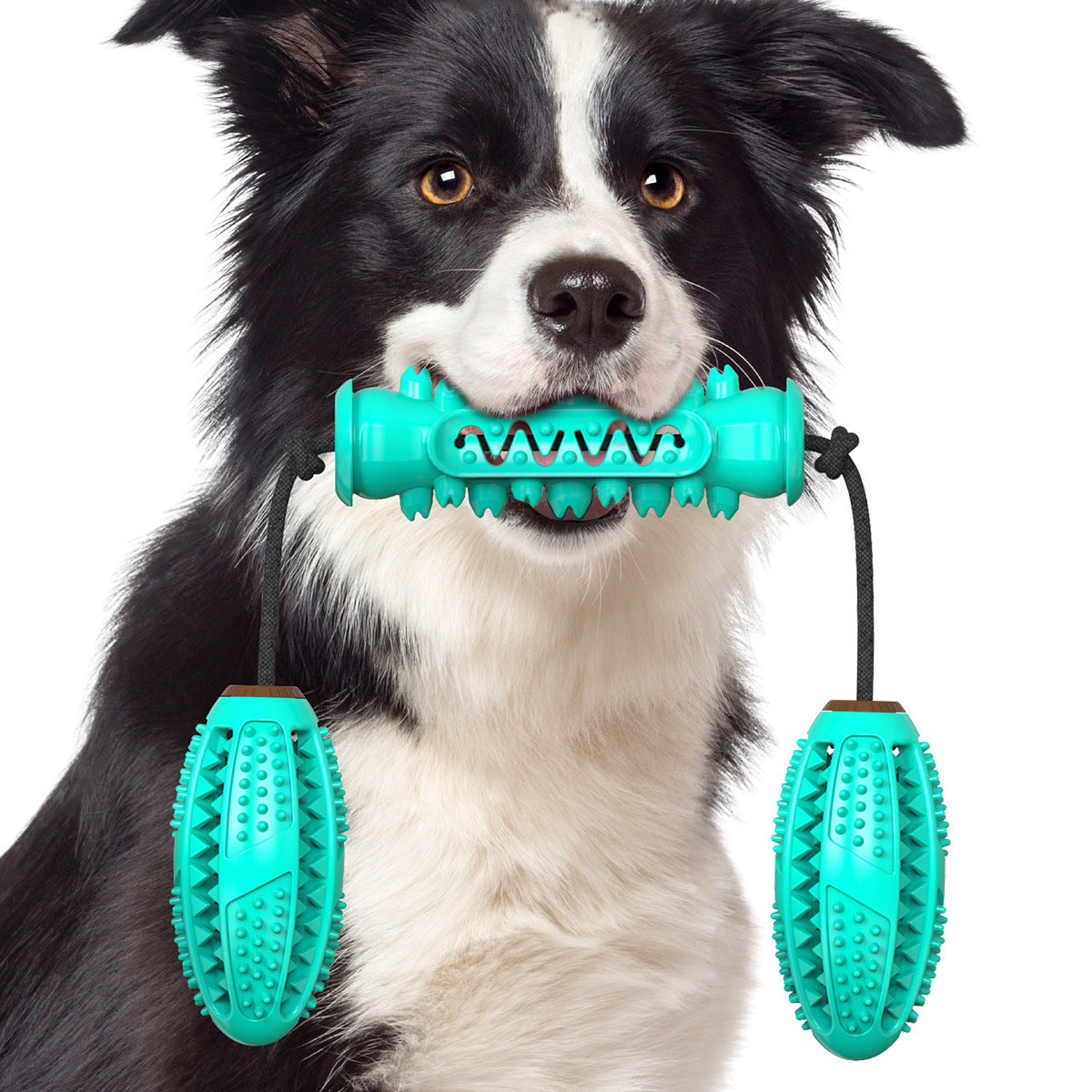 Dog Chew Toys Pet Toothbrush Rubber Bones Teeth Cleaning - [[Product type]] | Buffy's