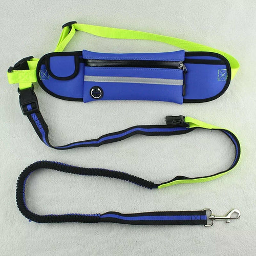Pet Waist Bag Sports Traction Rope Reflective Waterproof - [[Product type]] | Buffy's