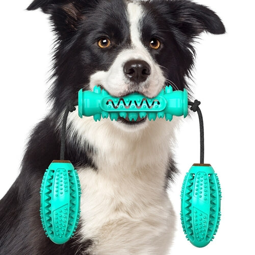 Dog Chew Toys Pet Toothbrush Rubber Bones Teeth Cleaning - [[Product type]] | Buffy's