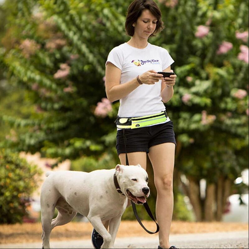 Hands Free Dog Leash Pet Walking And Training Belt With Shock - [[Product type]] | Buffy's