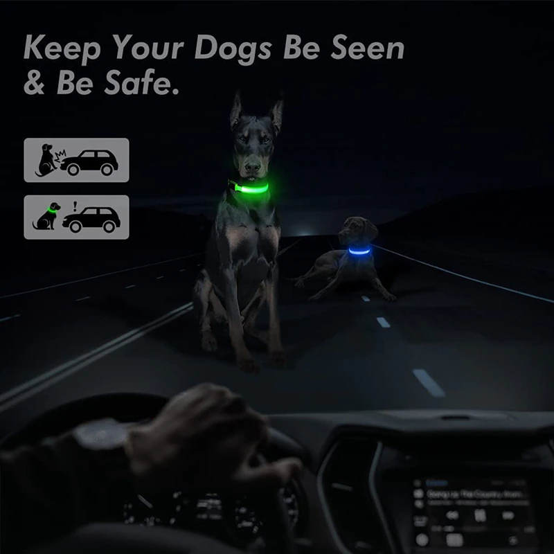 LED Adjustable Dog Collar Blinking Flashing Light Up Glow Pets Safety - [[Product type]] | Buffy's