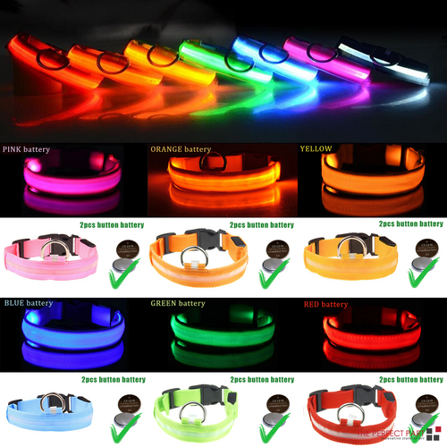 LED Adjustable Dog Collar Blinking Flashing Light Up Glow Pets Safety - [[Product type]] | Buffy's