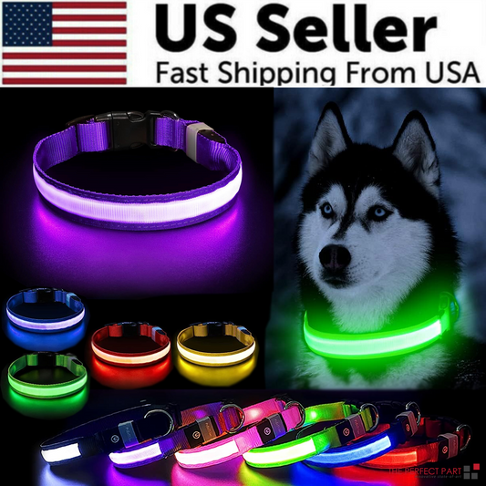 LED Adjustable Dog Collar Blinking Flashing Light Up Glow Pets Safety - [[Product type]] | Buffy's