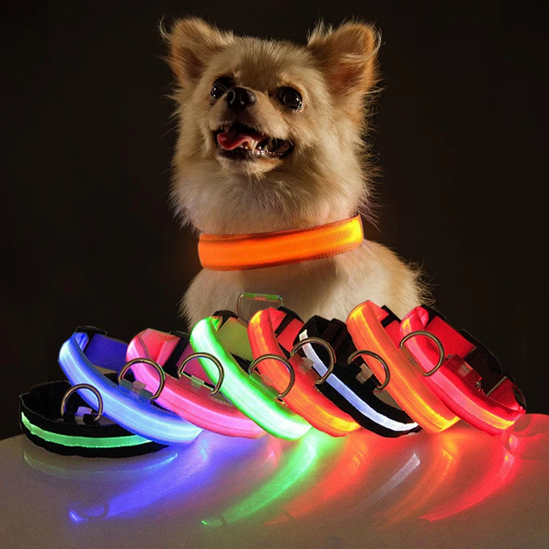 LED Adjustable Dog Collar Blinking Flashing Light Up Glow Pets Safety - [[Product type]] | Buffy's