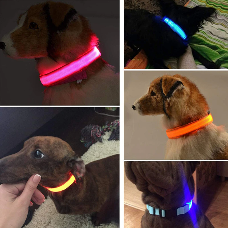LED Adjustable Dog Collar Blinking Flashing Light Up Glow Pets Safety - [[Product type]] | Buffy's
