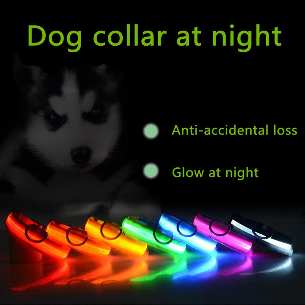 LED Adjustable Dog Collar Blinking Flashing Light Up Glow Pets Safety - [[Product type]] | Buffy's