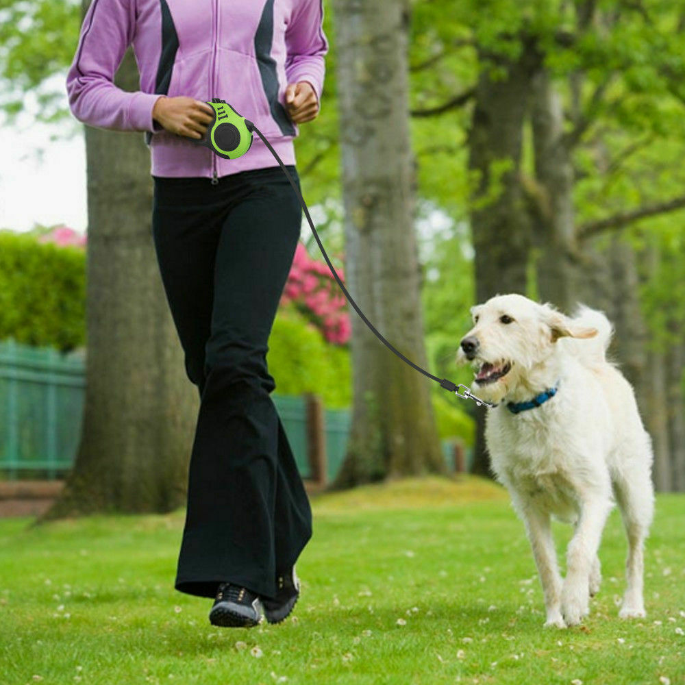 16.5FT Automatic Retractable Dog Leash Pet Collar Automatic Walking - [[Product type]] | Buffy's
