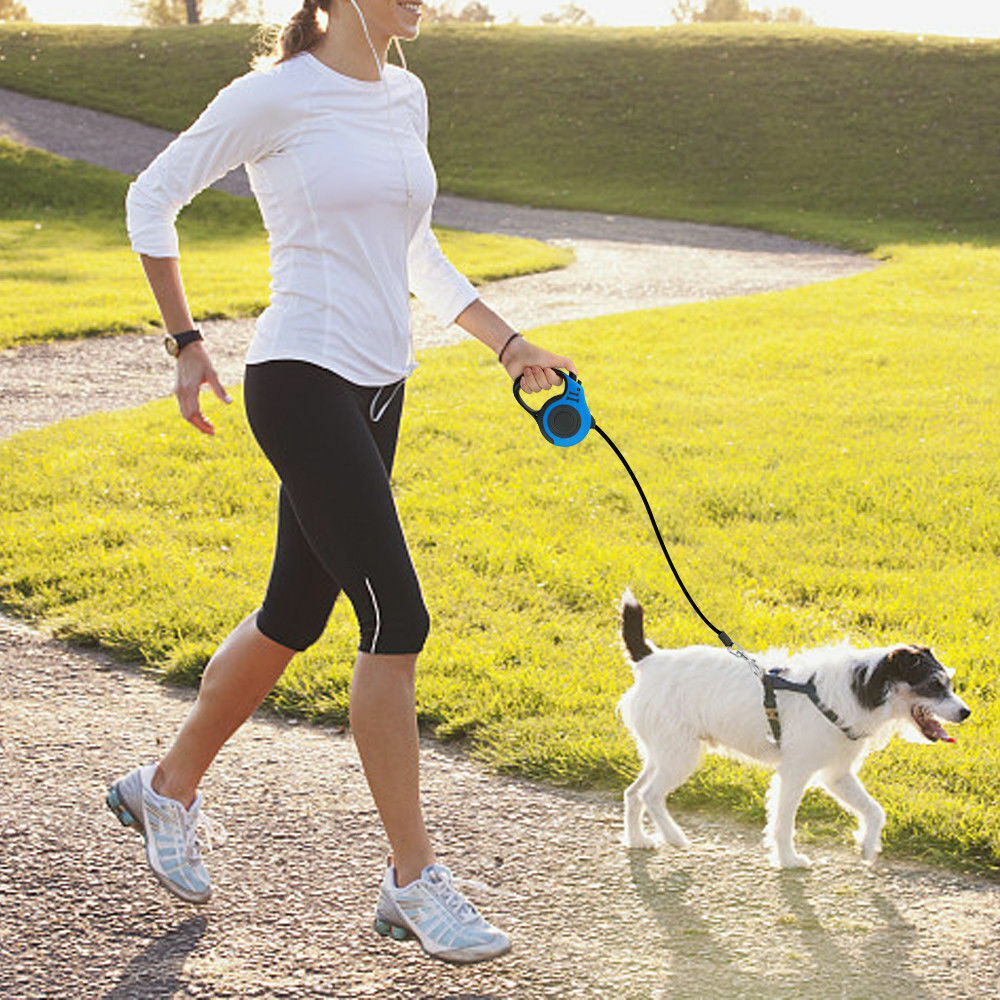 16.5FT Automatic Retractable Dog Leash Pet Collar Automatic Walking - [[Product type]] | Buffy's