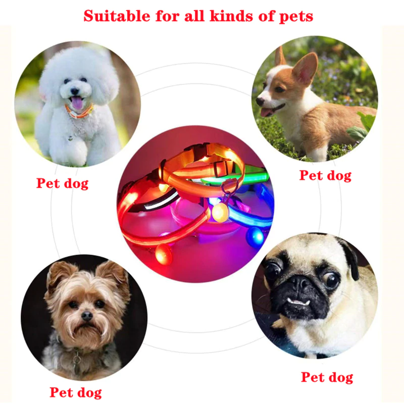 LED Adjustable Dog Collar Blinking Flashing Light Up Glow Pets Safety - [[Product type]] | Buffy's