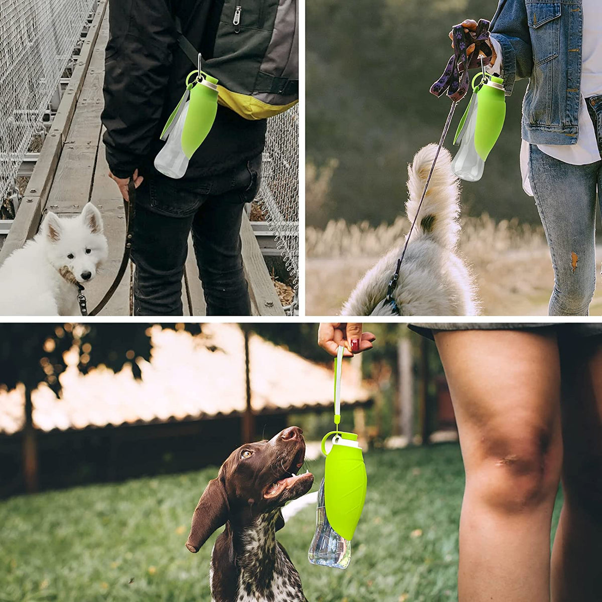 Portable Pet Water Dispenser Feeder Leak Proof - [[Product type]] | Buffy's
