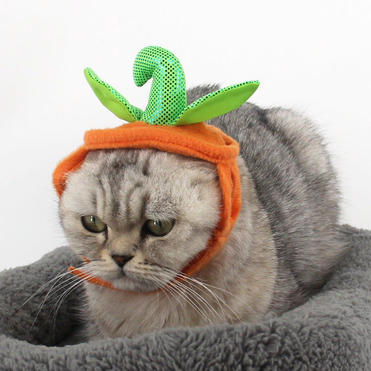 Halloween Pet Cats Costume Props Creative Pumpkin - [[Product type]] | Buffy's
