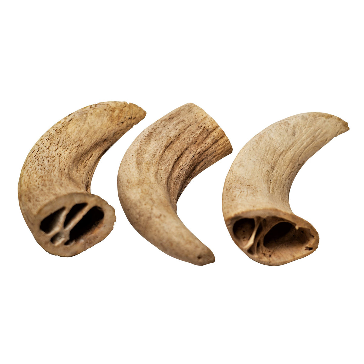 Water Buffalo Horn Core Dog Chews-2 Count-10 oz - [[Product type]] | Buffy's