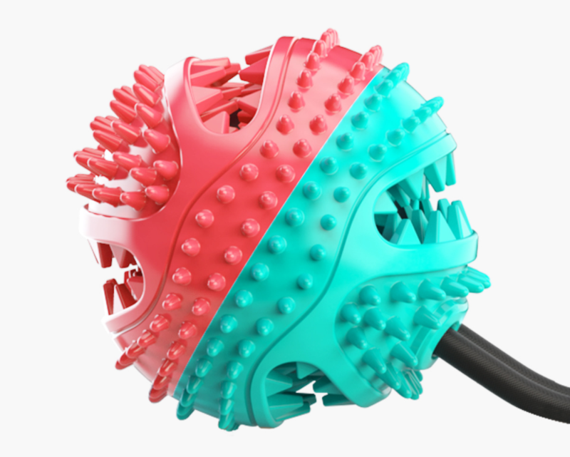 Dog Chew Toys Pet Toothbrush Rubber Bones Teeth Cleaning - [[Product type]] | Buffy's