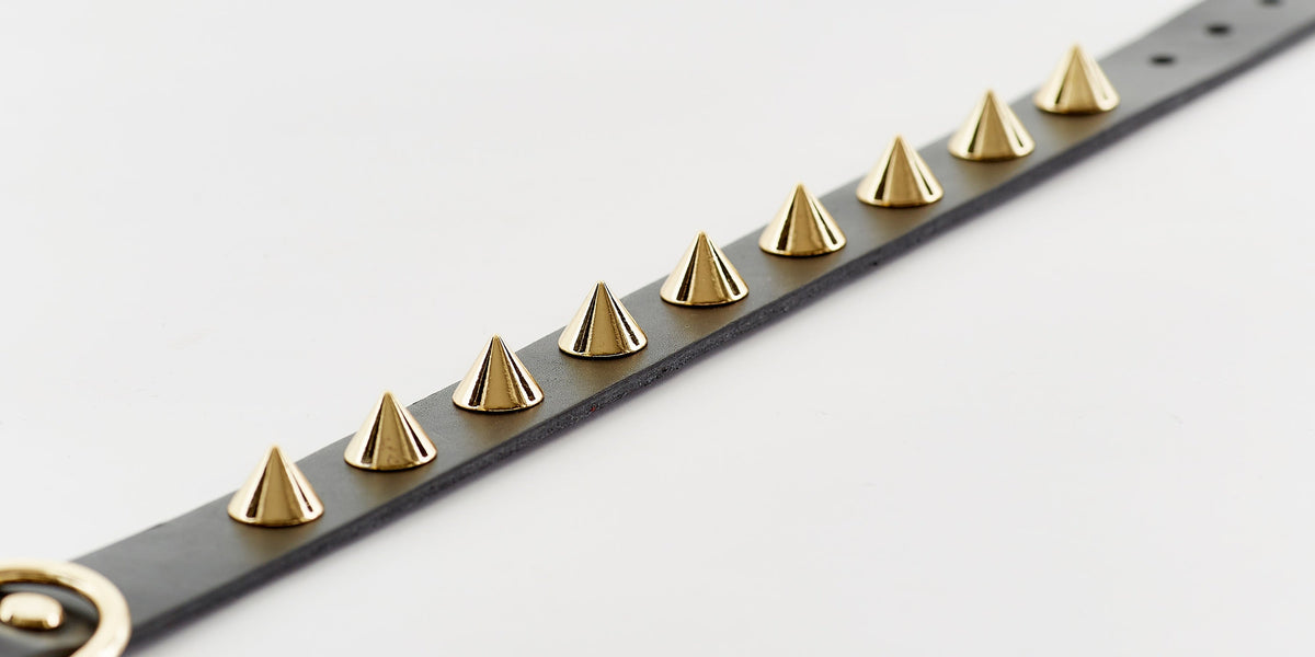 Golden Spike Black Collar - [[Product type]] | Buffy's