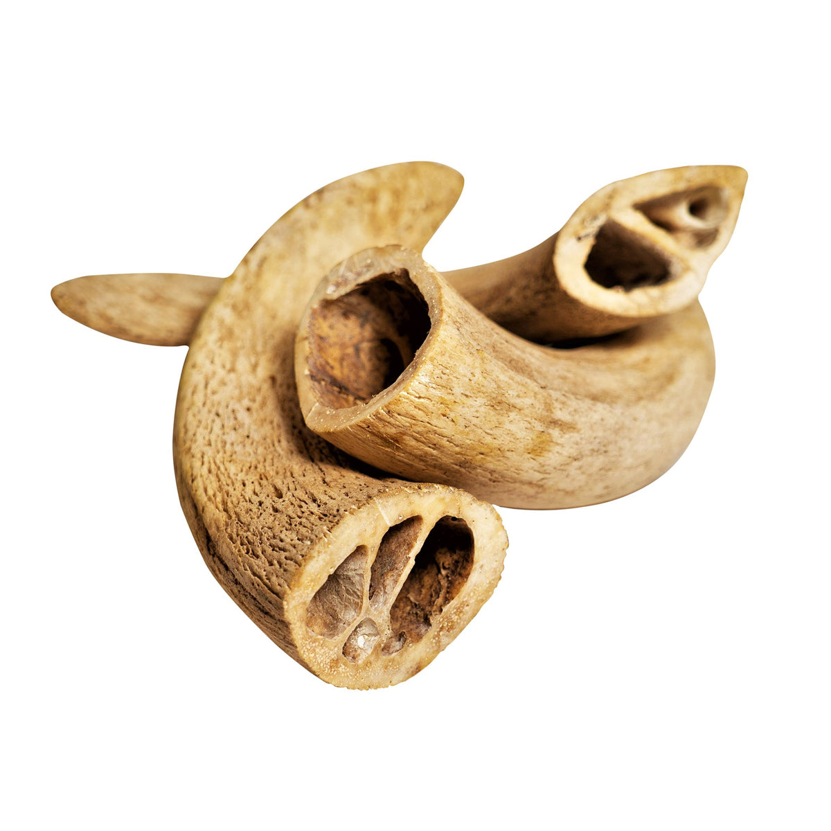 Water Buffalo Horn Core Dog Chews-2 Count-10 oz - [[Product type]] | Buffy's
