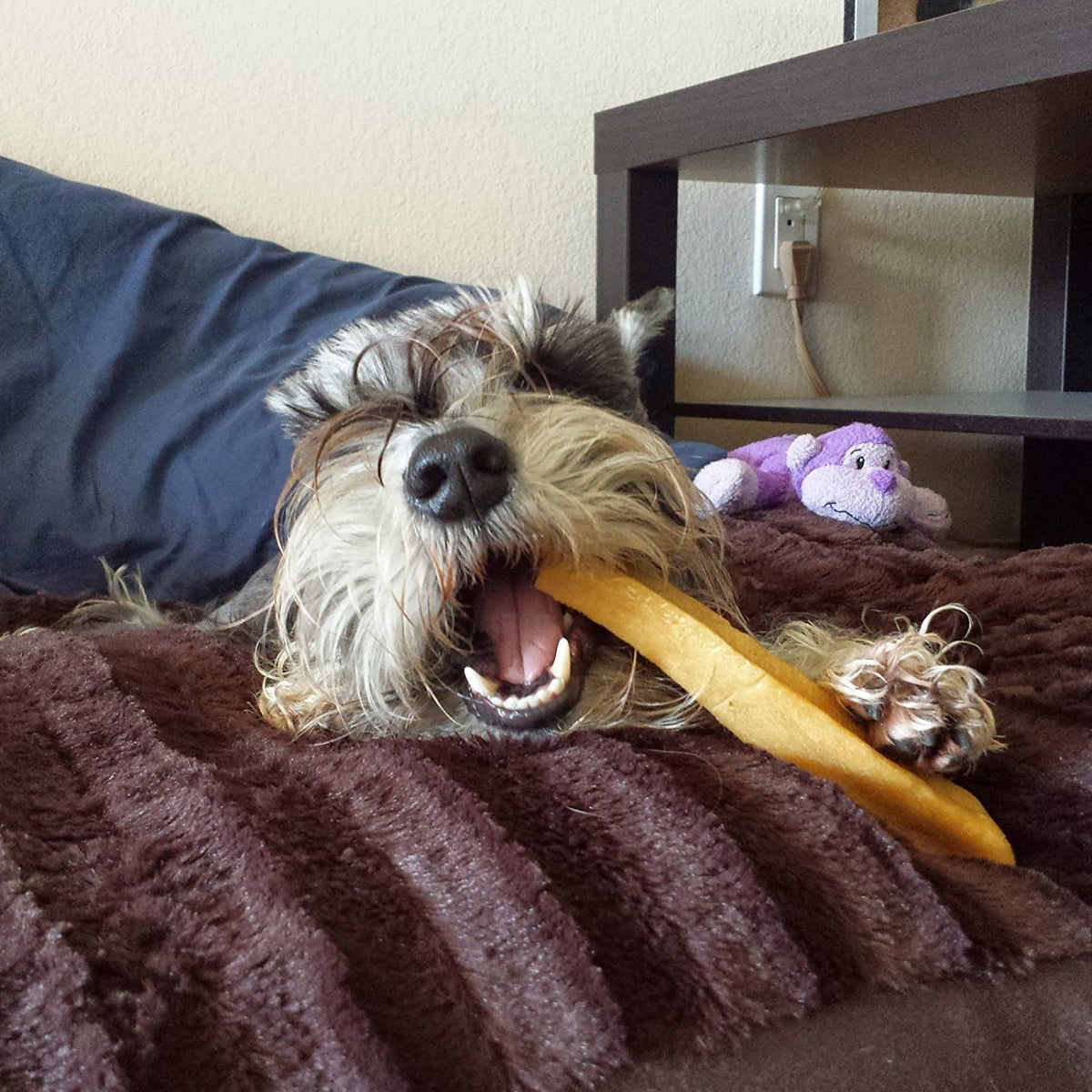 Gold Yak Chews for Large Dogs (1 lb to 5lb Bags) - [[Product type]] | Buffy's