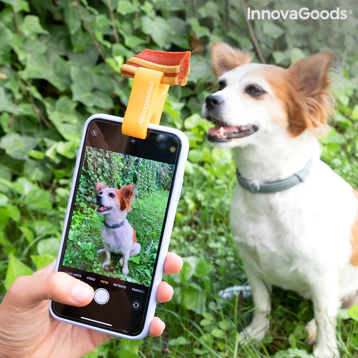 Selfie Clip for Pets Pefie InnovaGoods - [[Product type]] | Buffy's