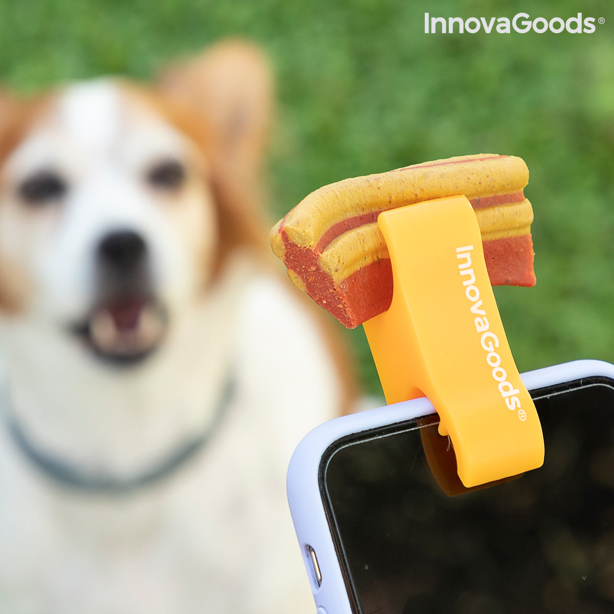 Selfie Clip for Pets Pefie InnovaGoods - [[Product type]] | Buffy's