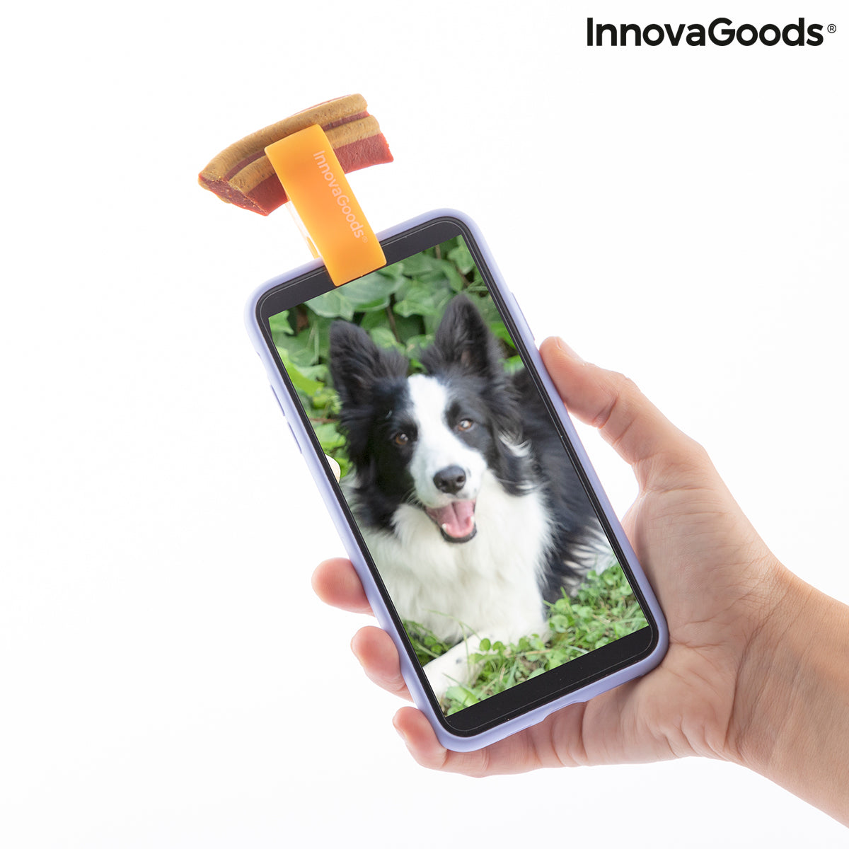 Selfie Clip for Pets Pefie InnovaGoods - [[Product type]] | Buffy's