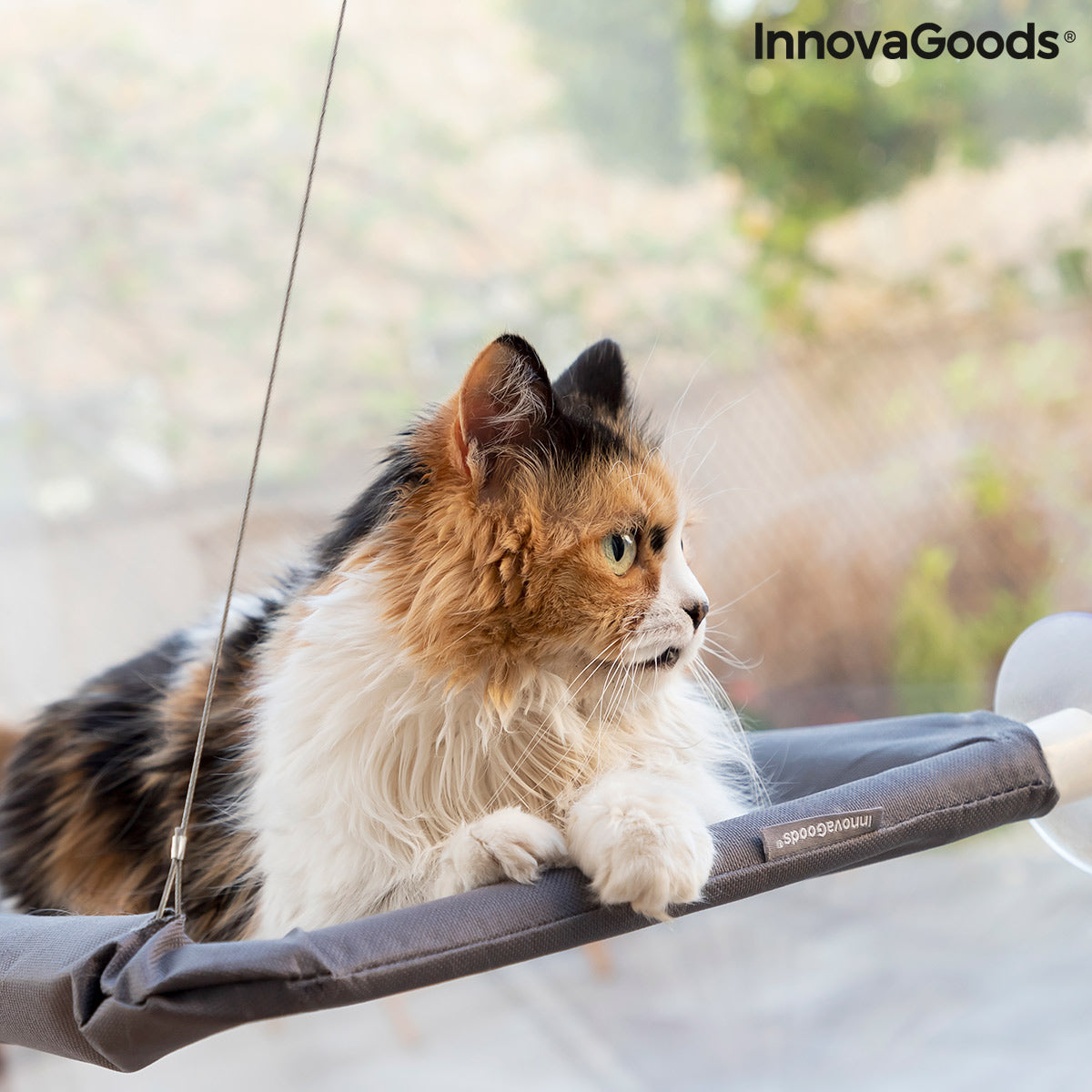 Hanging Cat Hammock Catlax InnovaGoods - [[Product type]] | Buffy's