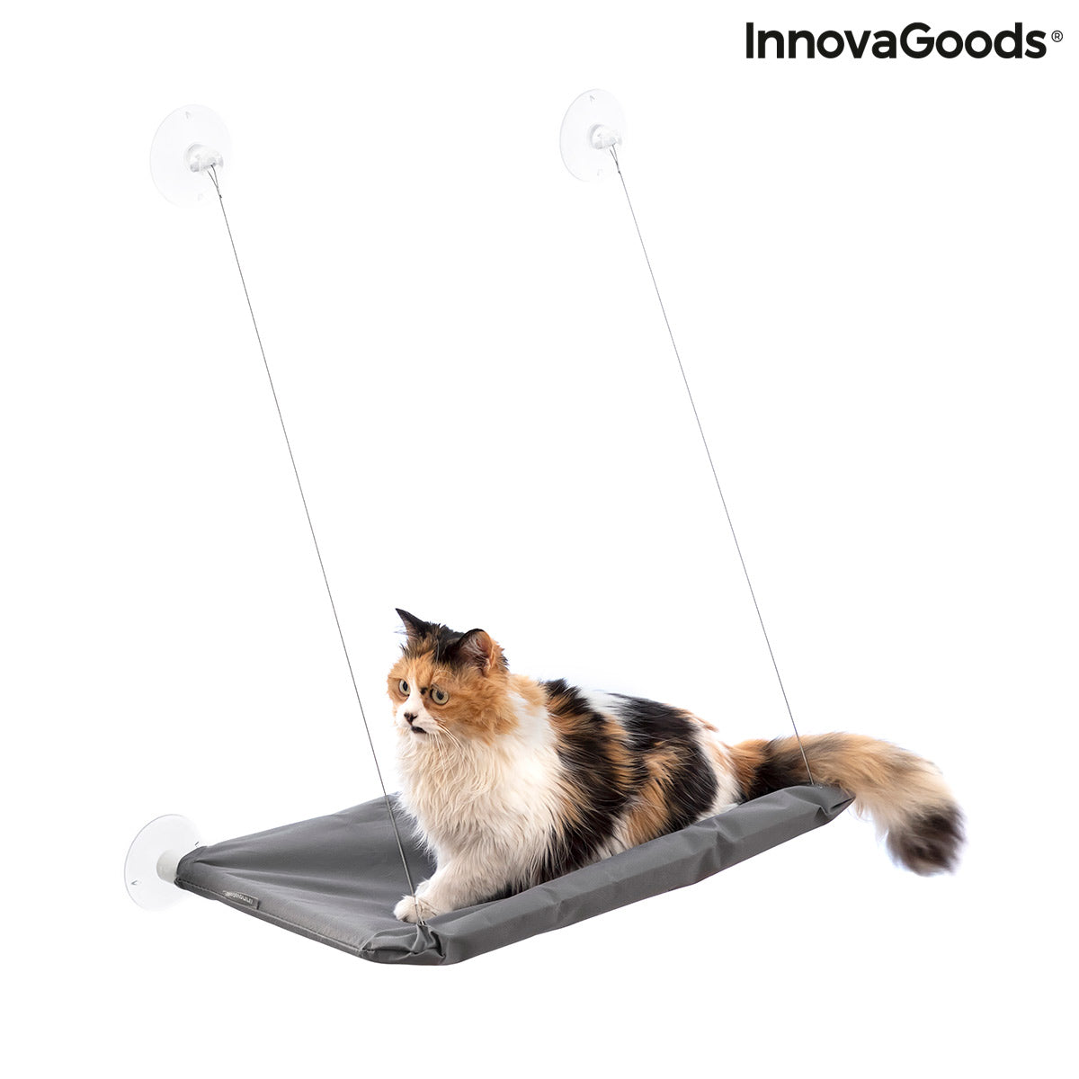 Hanging Cat Hammock Catlax InnovaGoods - [[Product type]] | Buffy's