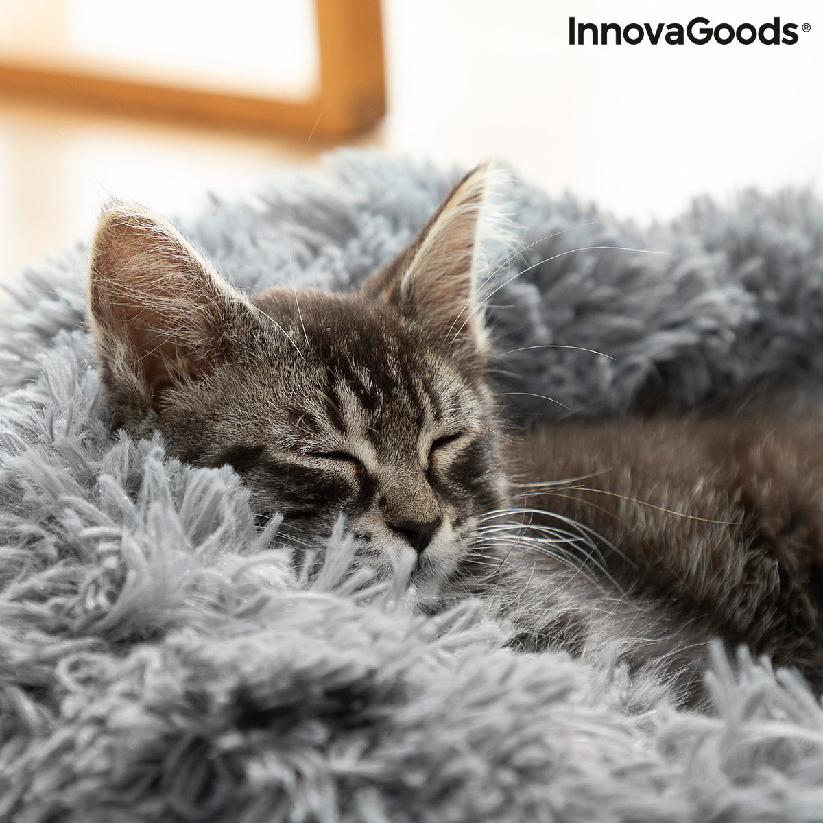 Anti-stress Pet Bed Bepess InnovaGoods Ø 60 cm - [[Product type]] | Buffy's