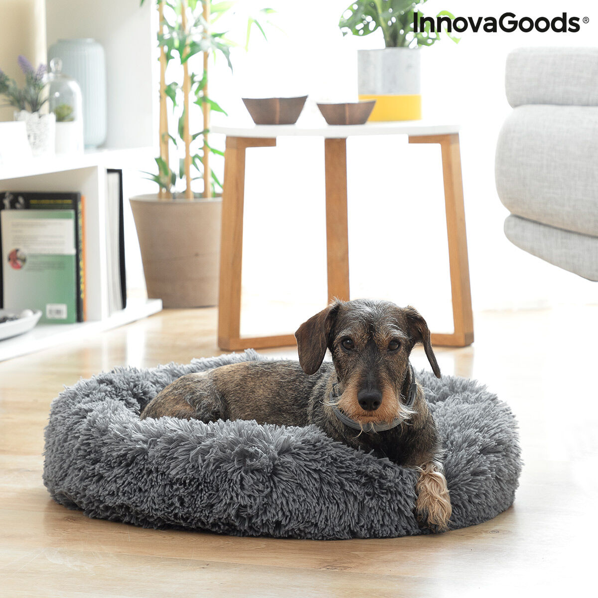 Anti-stress Pet Bed Bepess InnovaGoods Ø 60 cm - [[Product type]] | Buffy's